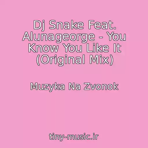 کاور آهنگ Dj Snake Feat. Alunageorge - You Know You Like It (Original Mix) از Muzyka Na Zvonok