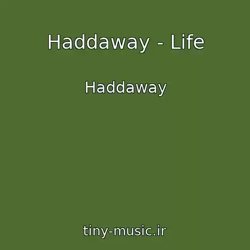 کاور آهنگ Haddaway - Life از Haddaway
