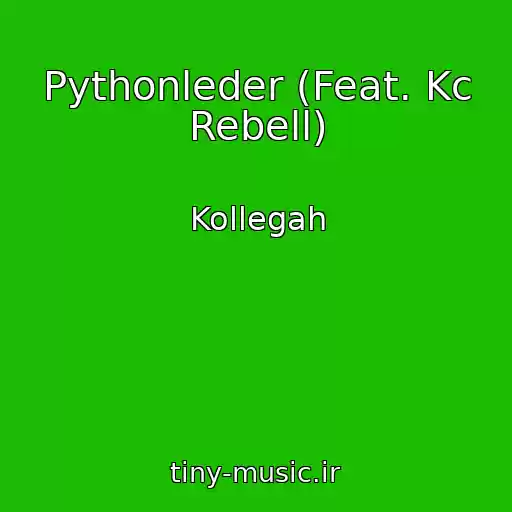 کاور آهنگ Pythonleder (Feat. Kc Rebell) از Kollegah