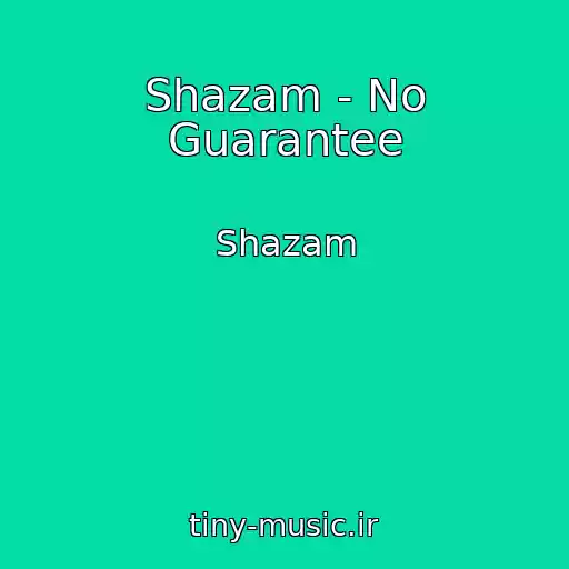 کاور آهنگ Shazam - No Guarantee از Shazam