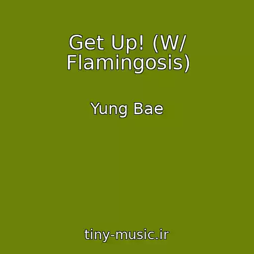 کاور آهنگ Get Up! (W/ Flamingosis) از Yung Bae