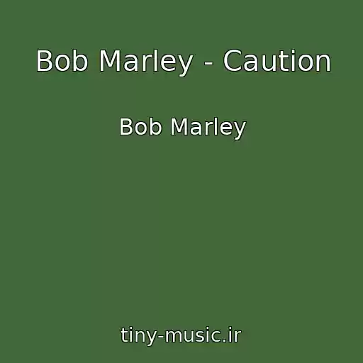 کاور آهنگ Bob Marley - Caution از Bob Marley