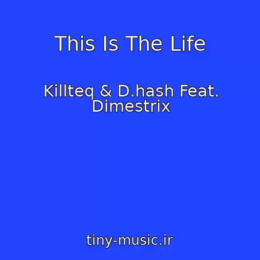 کاور آهنگ This Is The Life از Killteq & D.hash Feat. Dimestrix
