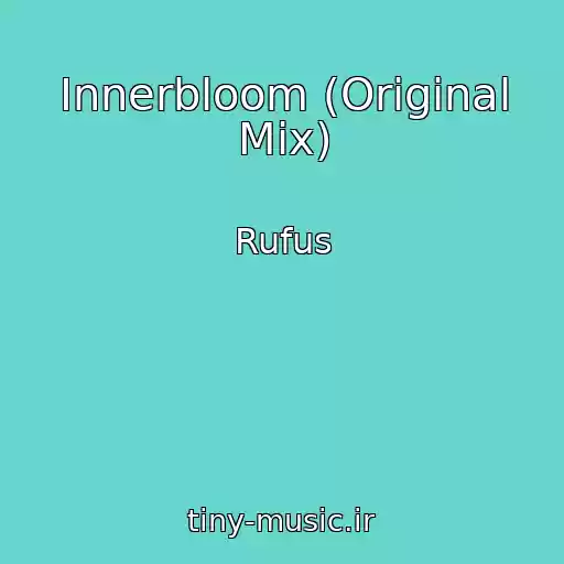 کاور آهنگ Innerbloom (Original Mix) از Rufus