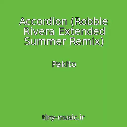 کاور آهنگ Accordion (Robbie Rivera Extended Summer Remix) از Pakito