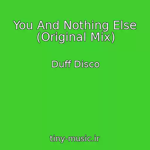کاور آهنگ You And Nothing Else (Original Mix) از Duff Disco