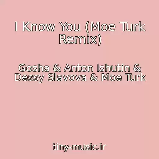 کاور آهنگ I Know You (Moe Turk Remix) از Gosha & Anton Ishutin & Dessy Slavova & Moe Turk