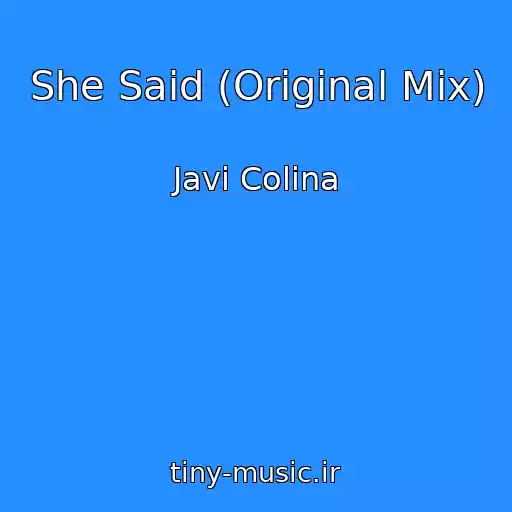 کاور آهنگ She Said (Original Mix) از Javi Colina