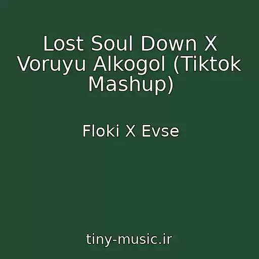 کاور آهنگ Lost Soul Down X Voruyu Alkogol (Tiktok Mashup) از Floki X Evse