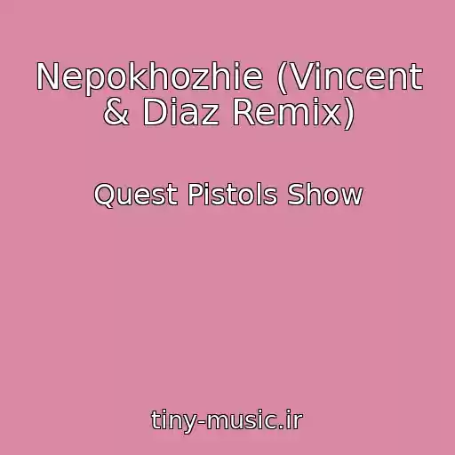 کاور آهنگ Nepokhozhie (Vincent & Diaz Remix) از Quest Pistols Show