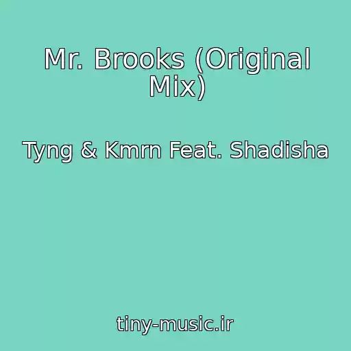 کاور آهنگ Mr. Brooks (Original Mix) از Tyng & Kmrn Feat. Shadisha