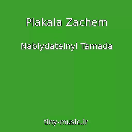 کاور آهنگ Plakala Zachem از Nablydatelnyi Tamada