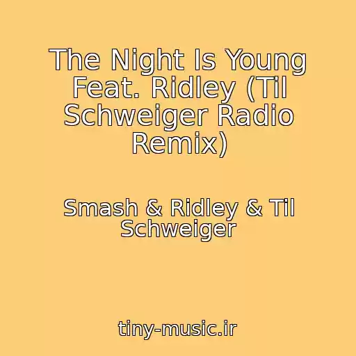 کاور آهنگ The Night Is Young Feat. Ridley (Til Schweiger Radio Remix) از Smash & Ridley & Til Schweiger