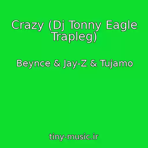 کاور آهنگ Crazy (Dj Tonny Eagle Trapleg) از Beynce & Jay-Z & Tujamo