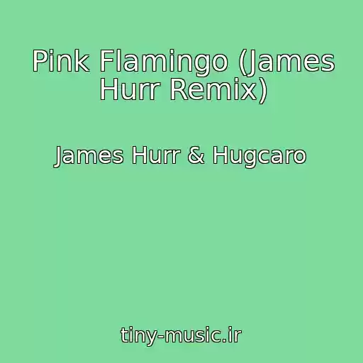 کاور آهنگ Pink Flamingo (James Hurr Remix) از James Hurr & Hugcaro