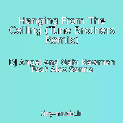 کاور آهنگ Hanging From The Ceiling (Tune Brothers Remix) از Dj Angel And Gabi Newman Feat Alex Senna