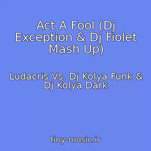 کاور آهنگ Act A Fool (Dj Exception & Dj Fiolet Mash Up) از Ludacris Vs. Dj Kolya Funk & Dj Kolya Dark