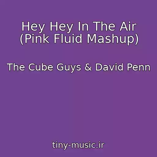 کاور آهنگ Hey Hey In The Air (Pink Fluid Mashup) از The Cube Guys & David Penn