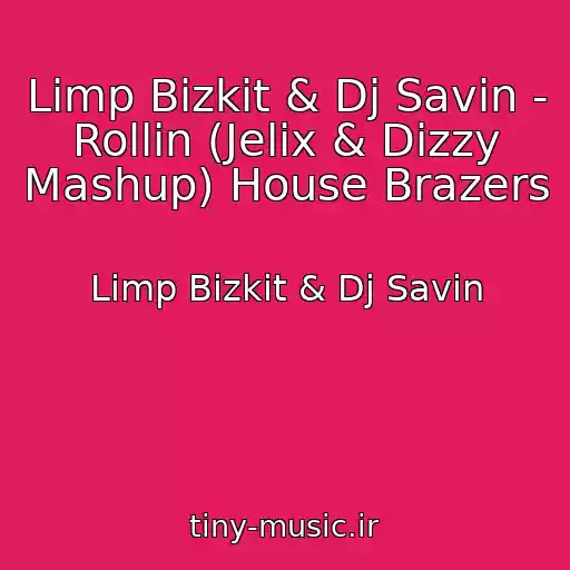 کاور آهنگ Limp Bizkit & Dj Savin - Rollin (Jelix & Dizzy Mashup) House Brazers از Limp Bizkit & Dj Savin