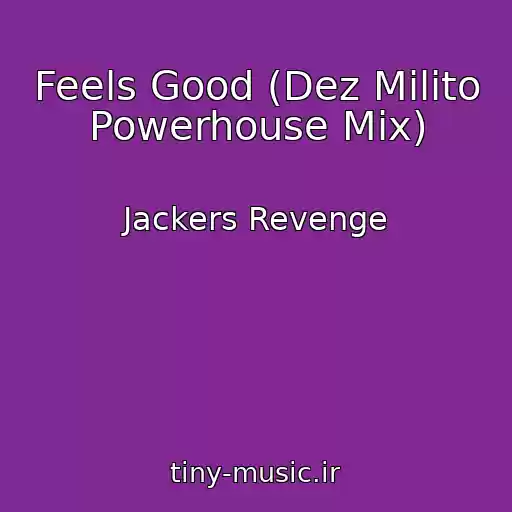 کاور آهنگ Feels Good (Dez Milito Powerhouse Mix) از Jackers Revenge