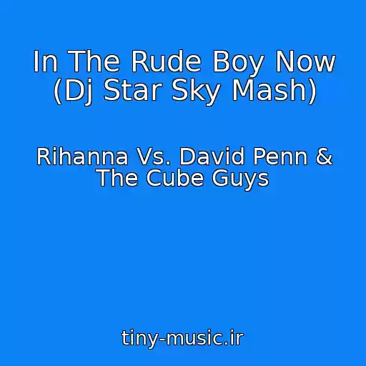 کاور آهنگ In The Rude Boy Now (Dj Star Sky Mash) از Rihanna Vs. David Penn & The Cube Guys