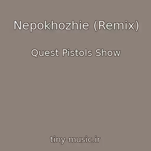 کاور آهنگ Nepokhozhie (Remix) از Quest Pistols Show