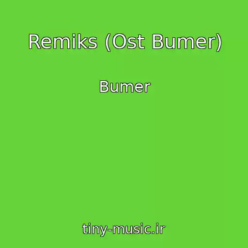 کاور آهنگ Remiks (Ost Bumer) از Bumer