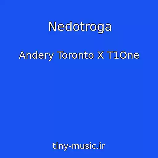کاور آهنگ Nedotroga از Andery Toronto X T1One