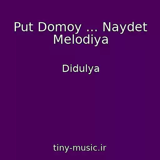 کاور آهنگ Put Domoy ... Naydet Melodiya از Didulya