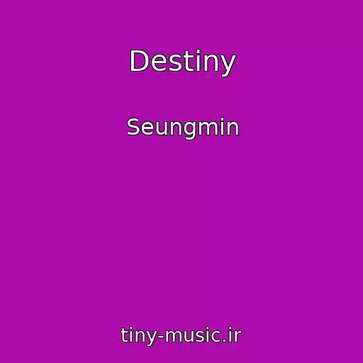 کاور آهنگ Destiny از Seungmin