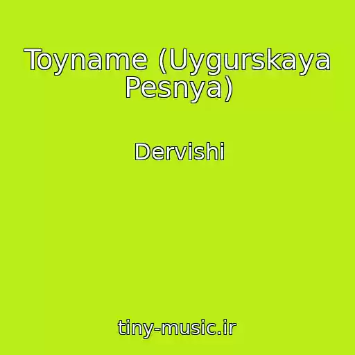 کاور آهنگ Toyname (Uygurskaya Pesnya) از Dervishi