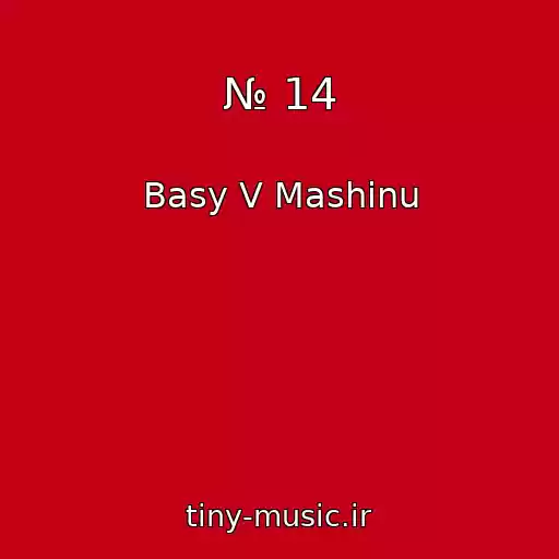 کاور آهنگ № 14 از Basy V Mashinu