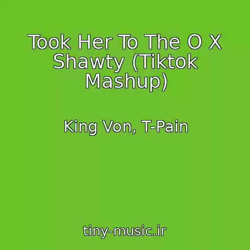 کاور آهنگ Took Her To The O X Shawty (Tiktok Mashup) از King Von, T-Pain