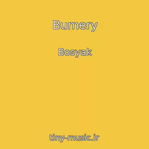 کاور آهنگ Bumery از Bosyak