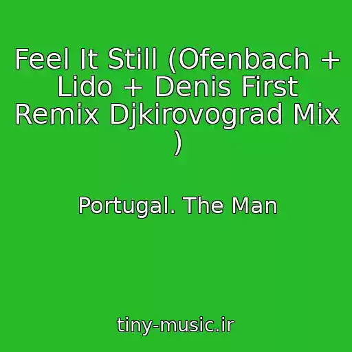 کاور آهنگ Feel It Still (Ofenbach + Lido + Denis First Remix Djkirovograd Mix ) از Portugal. The Man