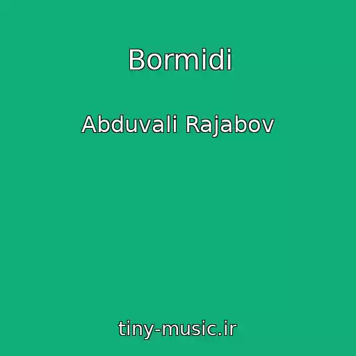 کاور آهنگ Bormidi از Abduvali Rajabov
