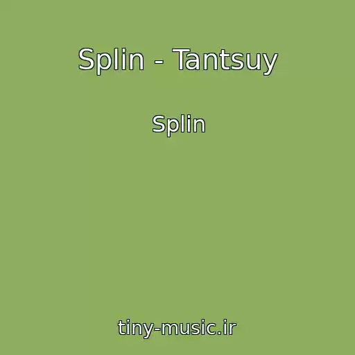 کاور آهنگ Splin - Tantsuy از Splin