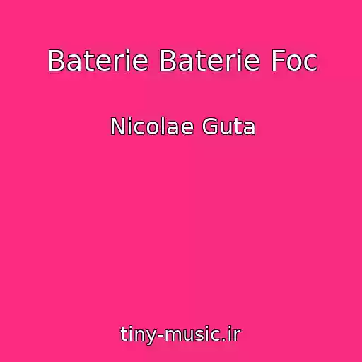 کاور آهنگ Baterie Baterie Foc از Nicolae Guta
