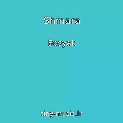 کاور آهنگ Shmara از Bosyak