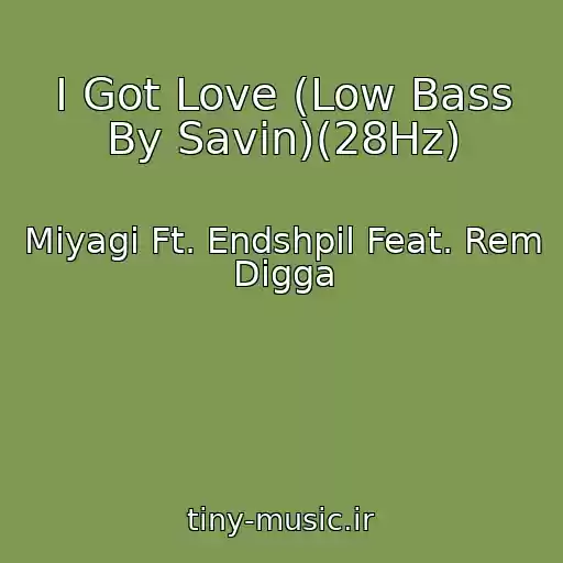 کاور آهنگ I Got Love (Low Bass By Savin)(28Hz) از Miyagi Ft. Endshpil Feat. Rem Digga