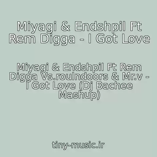 کاور آهنگ Miyagi & Endshpil Ft Rem Digga - I Got Love از Miyagi & Endshpil Ft Rem Digga Vs.roulndoors & Mr.v - I Got Love (Dj Bachee Mashup)