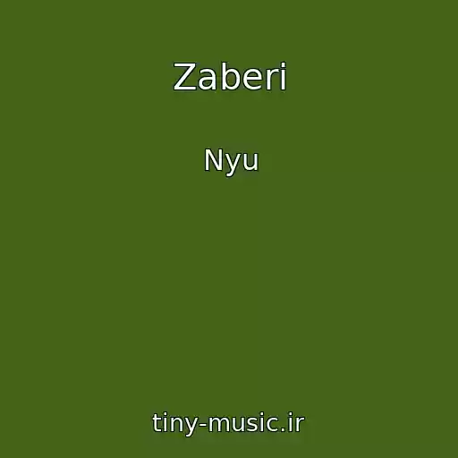 کاور آهنگ Zaberi از Nyu