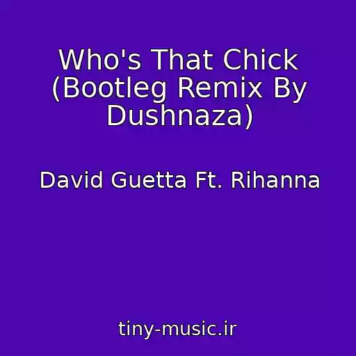 کاور آهنگ Who's That Chick (Bootleg Remix By Dushnaza) از David Guetta Ft. Rihanna