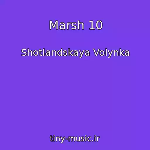 کاور آهنگ Marsh 10 از Shotlandskaya Volynka