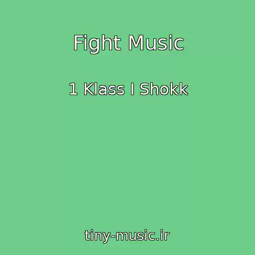 کاور آهنگ Fight Music از 1 Klass I Shokk