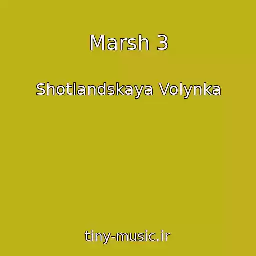 کاور آهنگ Marsh 3 از Shotlandskaya Volynka