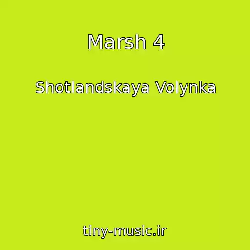 کاور آهنگ Marsh 4 از Shotlandskaya Volynka