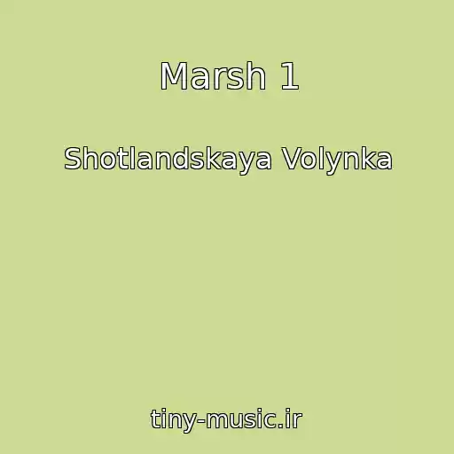 کاور آهنگ Marsh 1 از Shotlandskaya Volynka