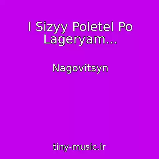 کاور آهنگ I Sizyy Poletel Po Lageryam... از Nagovitsyn