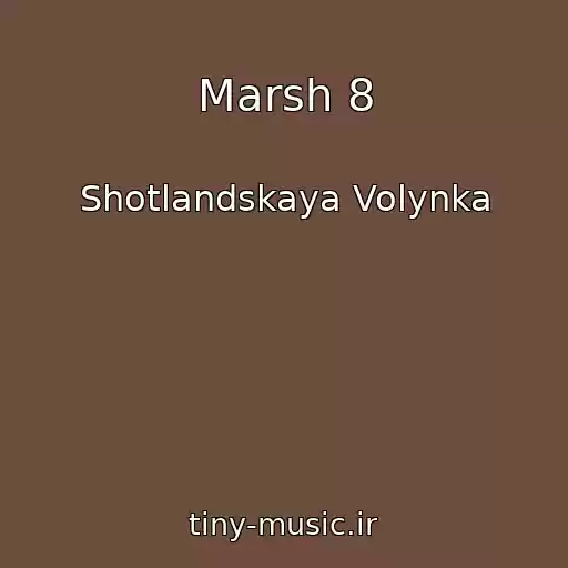 کاور آهنگ Marsh 8 از Shotlandskaya Volynka